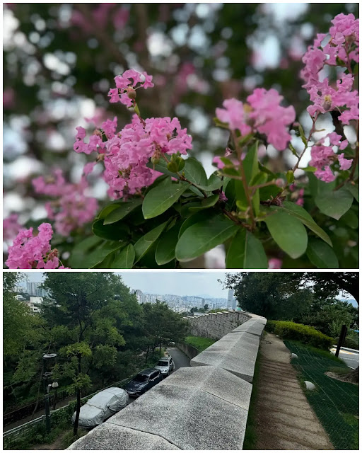 성곽길-꽃-외곽길-안쪽길