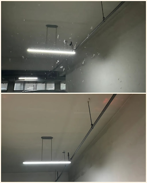 벌레자국-제거-전-후-비교샷