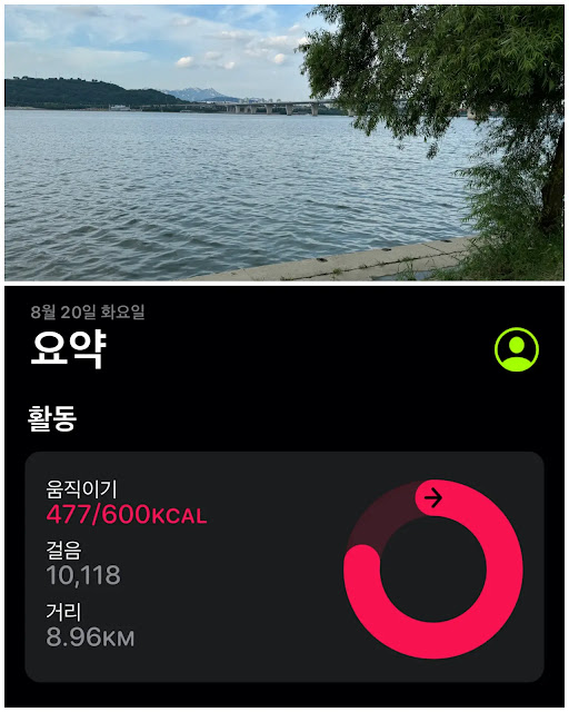 한강-운동량-10000보-477칼로리