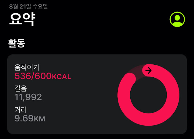운동량-11900보-536칼로리