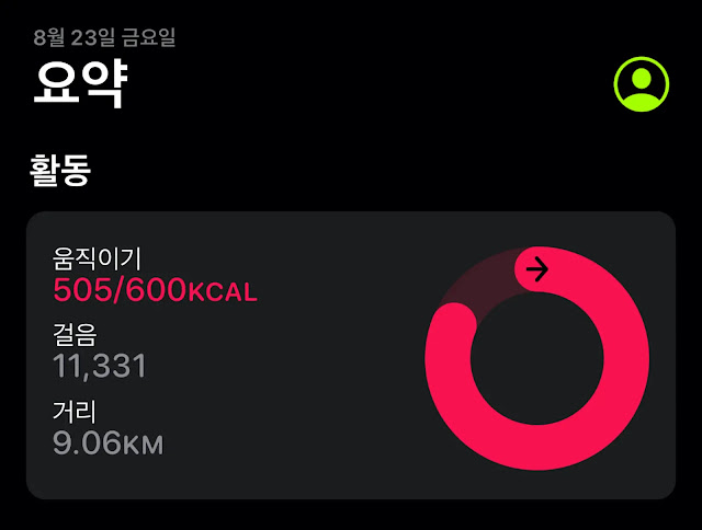 운동량-11300보-505칼로리