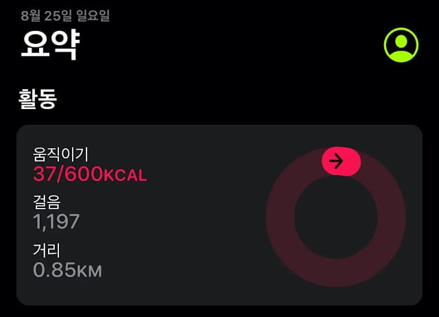운동량-1100보-37칼로리