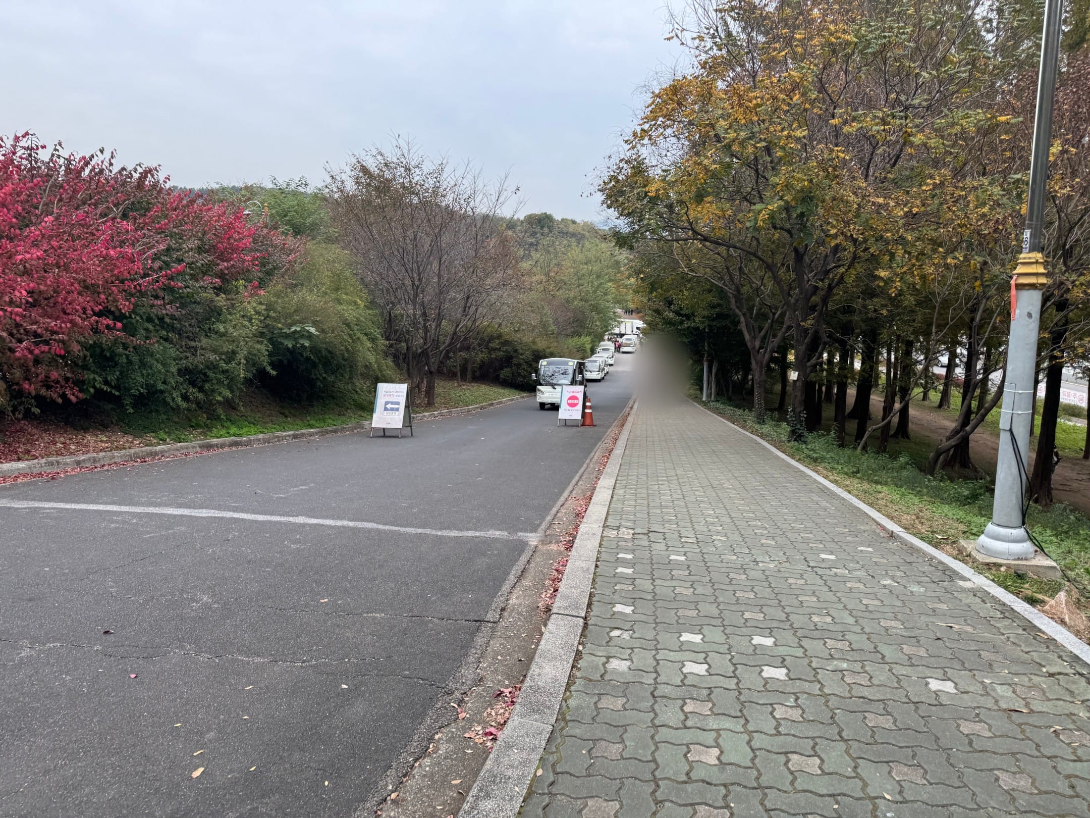 하늘공원 나가는 길