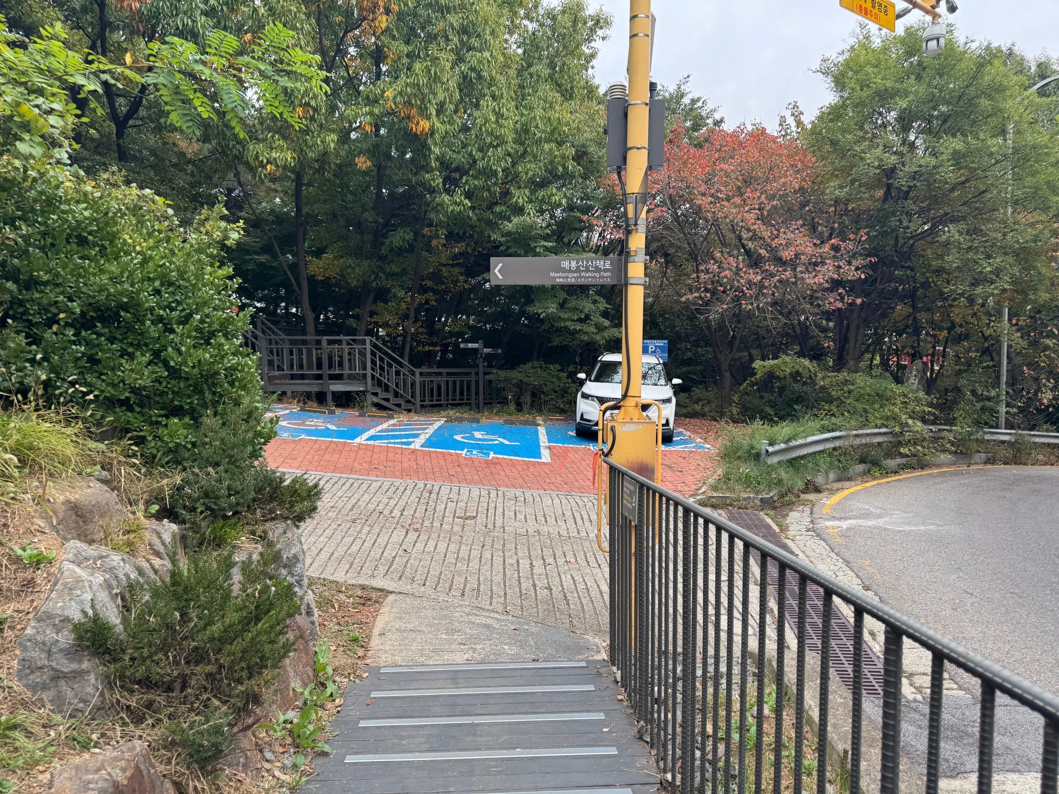 매봉산 산책로