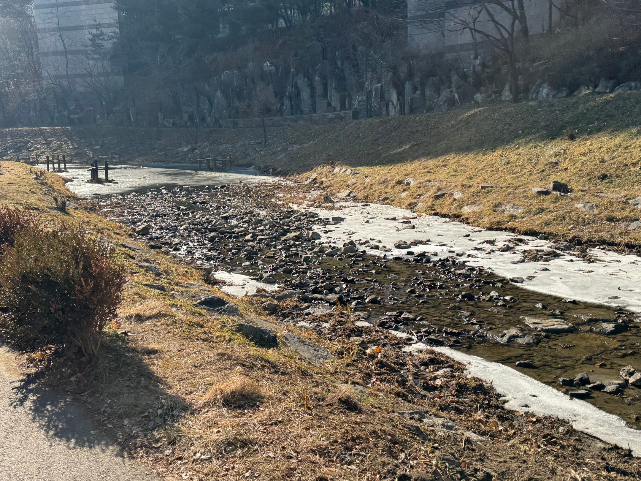 산책길 풍경