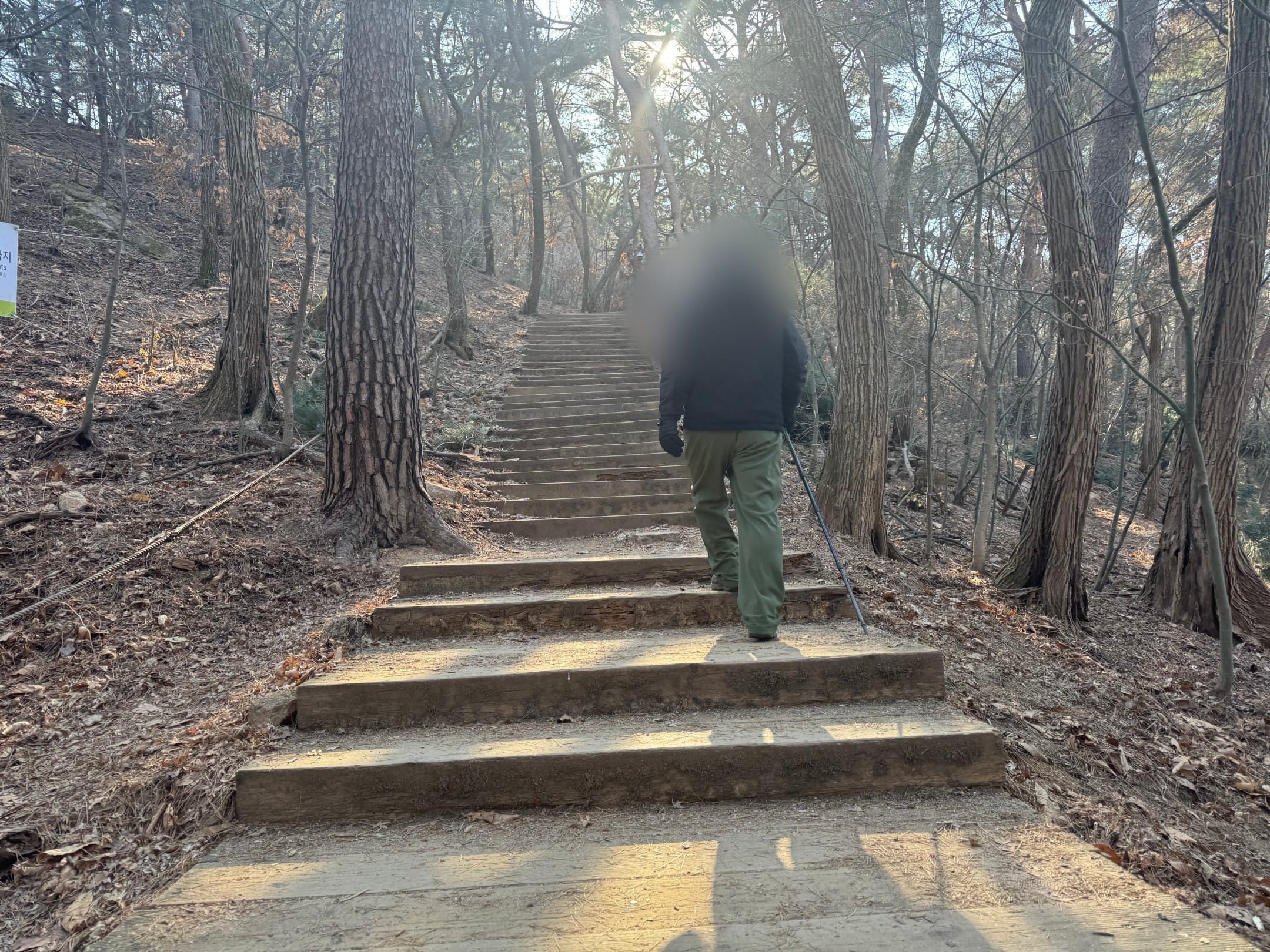 등산로 계단